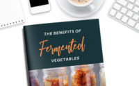 The Benefits of Fermented Foods Workshop and Opt in Freebie Bundle