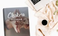 3 Month Chakra Program