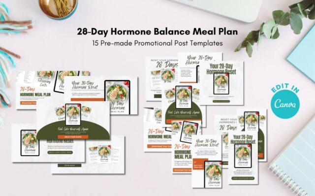 28-Day Hormone Balance Plan Offer - Your Health Coach Biz with Rachel ...