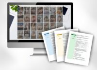 3 Month Holistic Nutrition Social Media and Captions | Payment Plan