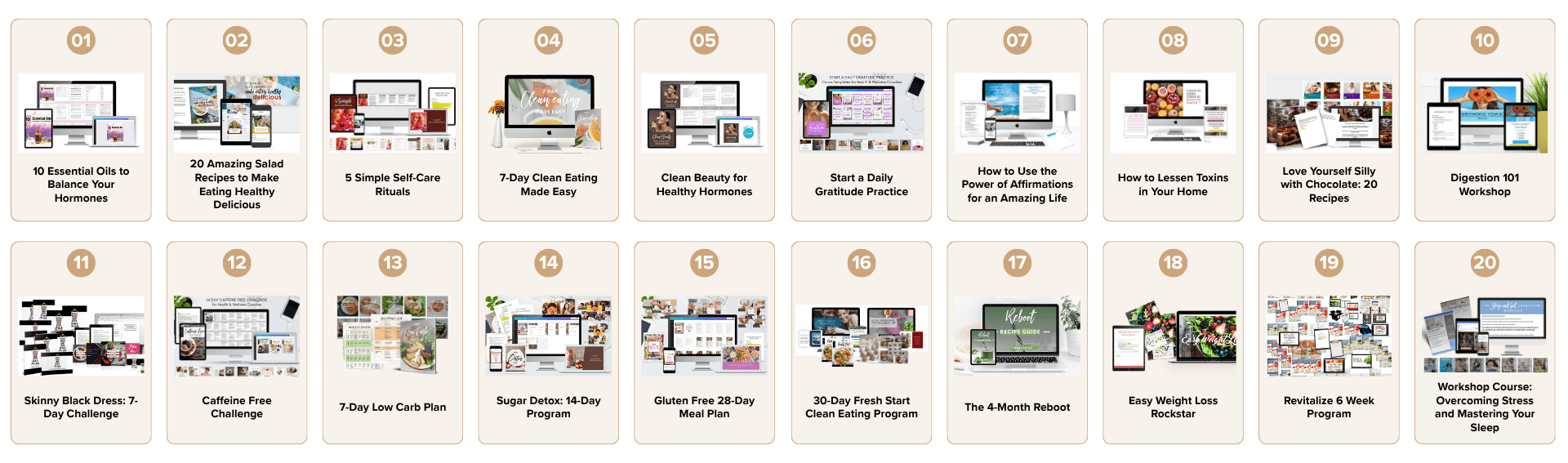 The Vault Programs Image